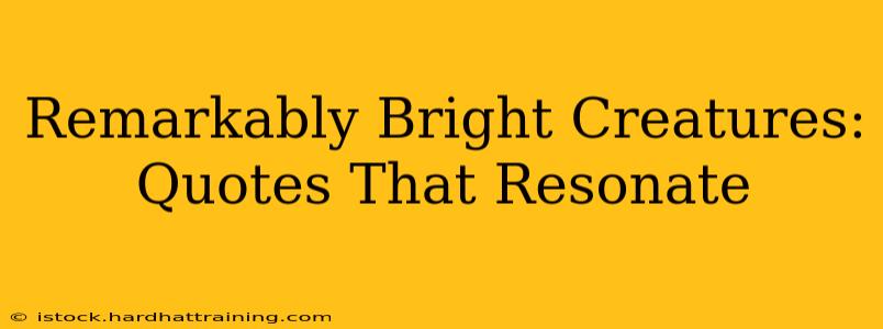 Remarkably Bright Creatures: Quotes That Resonate