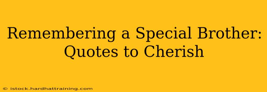 Remembering a Special Brother: Quotes to Cherish