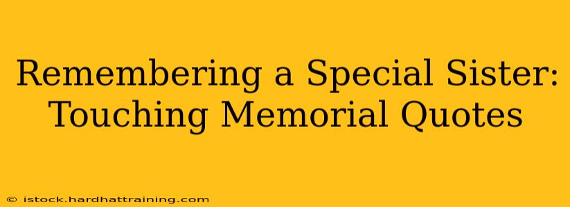 Remembering a Special Sister: Touching Memorial Quotes