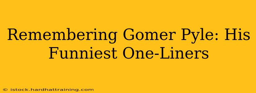 Remembering Gomer Pyle: His Funniest One-Liners