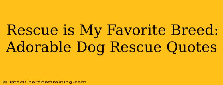 Rescue is My Favorite Breed: Adorable Dog Rescue Quotes