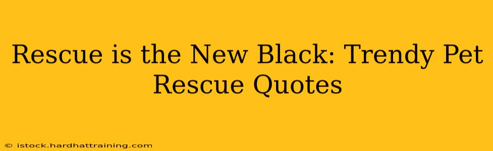 Rescue is the New Black: Trendy Pet Rescue Quotes