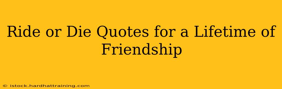 Ride or Die Quotes for a Lifetime of Friendship