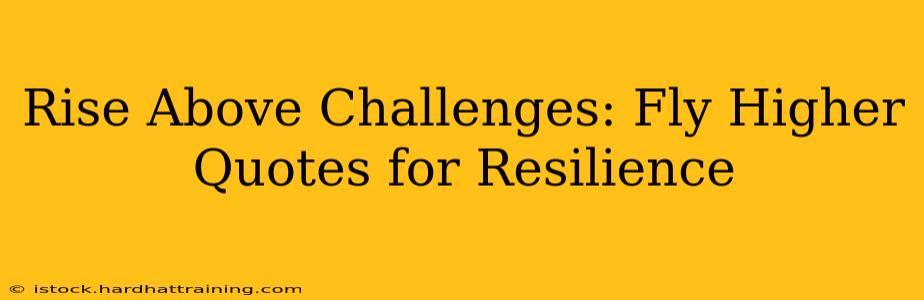 Rise Above Challenges: Fly Higher Quotes for Resilience
