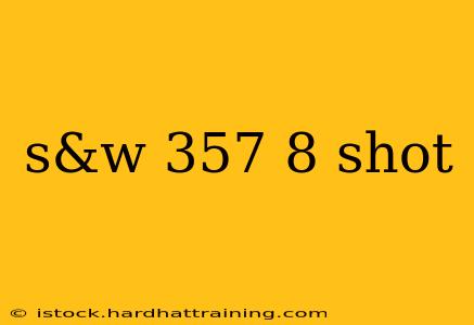 s&w 357 8 shot