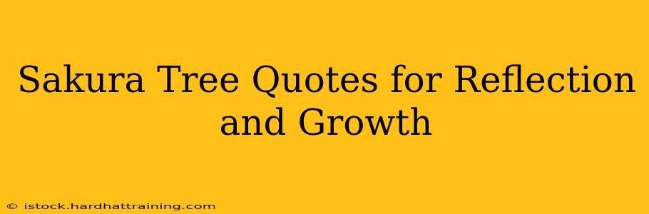 Sakura Tree Quotes for Reflection and Growth