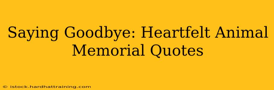 Saying Goodbye: Heartfelt Animal Memorial Quotes