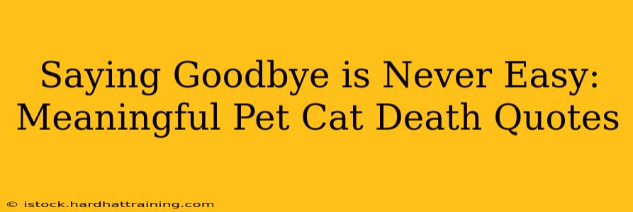 Saying Goodbye is Never Easy: Meaningful Pet Cat Death Quotes