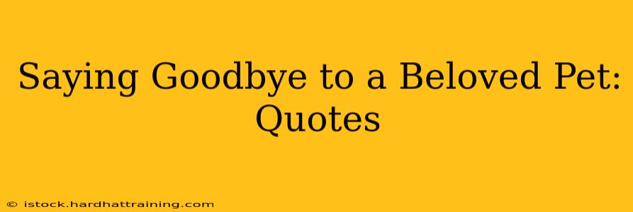 Saying Goodbye to a Beloved Pet: Quotes