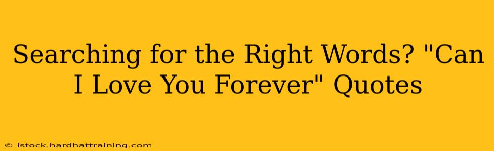 Searching for the Right Words? "Can I Love You Forever" Quotes
