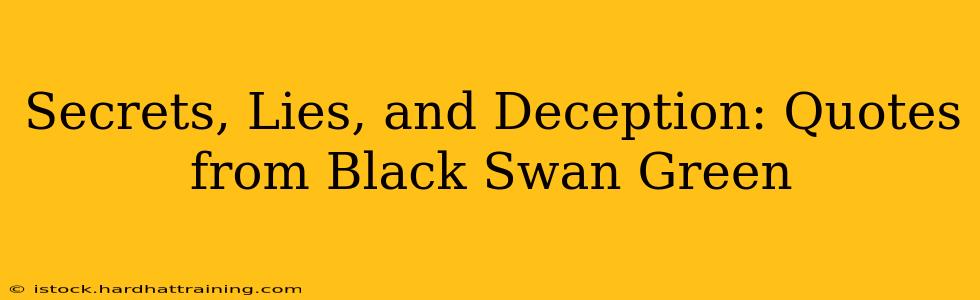Secrets, Lies, and Deception: Quotes from Black Swan Green