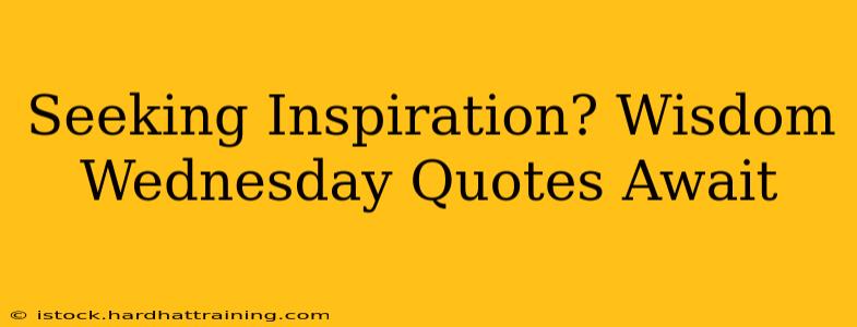 Seeking Inspiration? Wisdom Wednesday Quotes Await