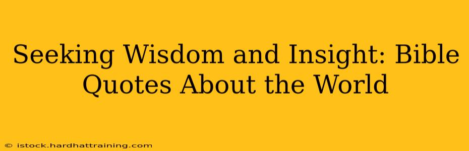 Seeking Wisdom and Insight: Bible Quotes About the World