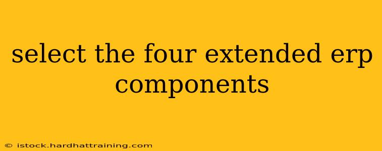 select the four extended erp components