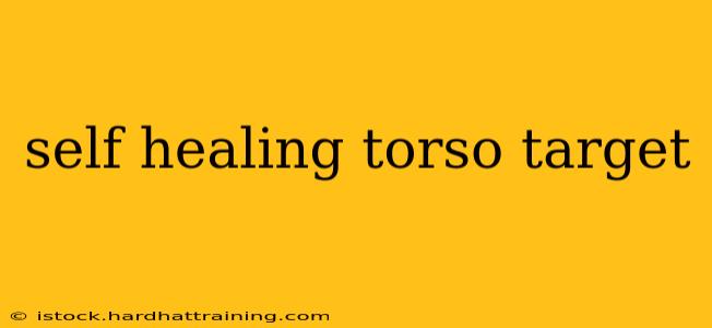 self healing torso target