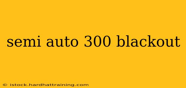 semi auto 300 blackout