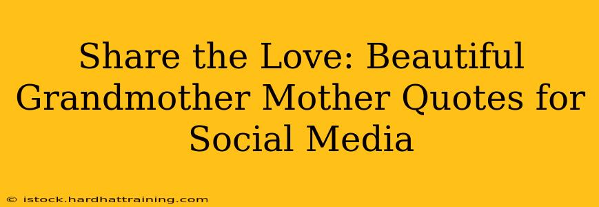 Share the Love: Beautiful Grandmother Mother Quotes for Social Media