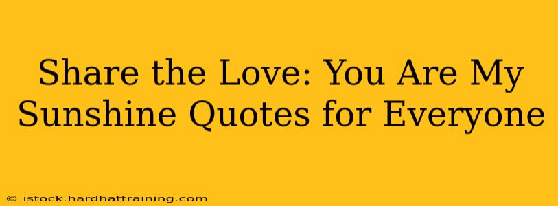 Share the Love: You Are My Sunshine Quotes for Everyone