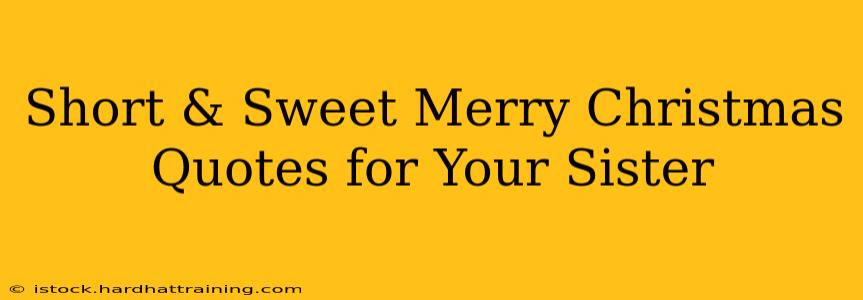 Short & Sweet Merry Christmas Quotes for Your Sister