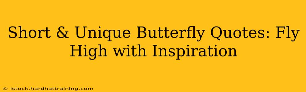 Short & Unique Butterfly Quotes: Fly High with Inspiration