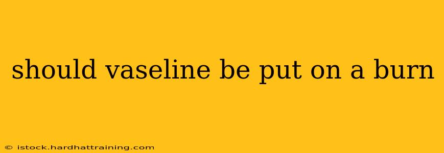 should vaseline be put on a burn