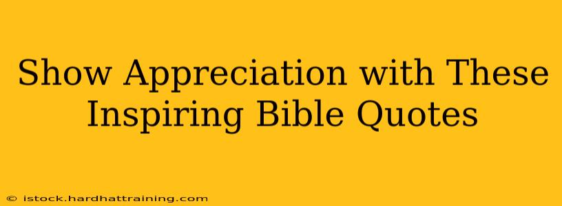 Show Appreciation with These Inspiring Bible Quotes