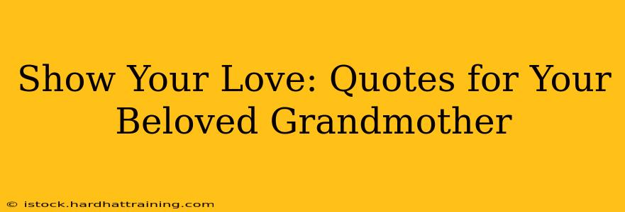 Show Your Love: Quotes for Your Beloved Grandmother