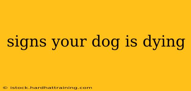 signs your dog is dying