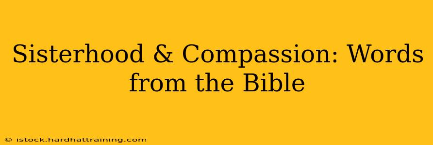 Sisterhood & Compassion: Words from the Bible