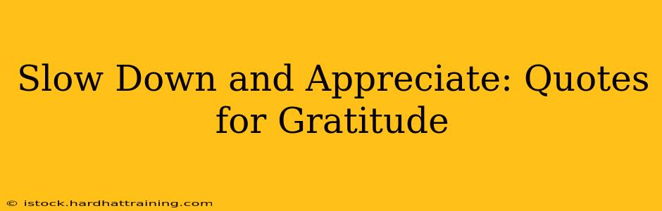 Slow Down and Appreciate: Quotes for Gratitude