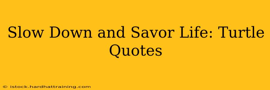 Slow Down and Savor Life: Turtle Quotes