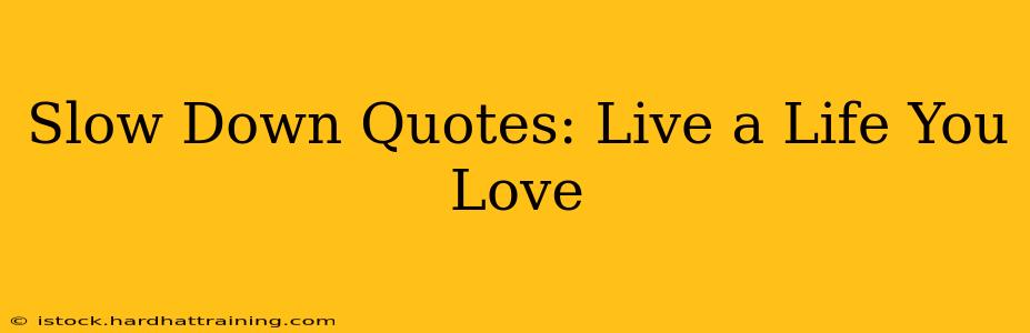 Slow Down Quotes: Live a Life You Love