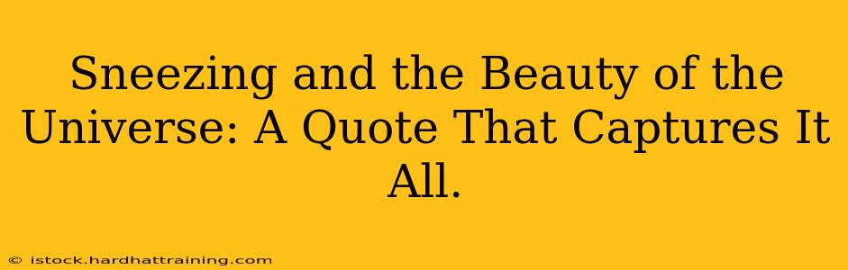 Sneezing and the Beauty of the Universe: A Quote That Captures It All.