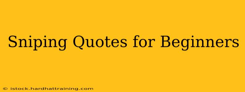 Sniping Quotes for Beginners