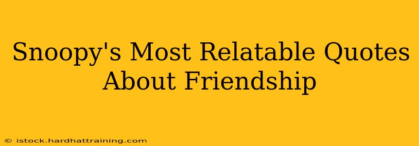 Snoopy's Most Relatable Quotes About Friendship