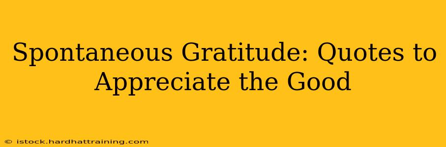 Spontaneous Gratitude: Quotes to Appreciate the Good