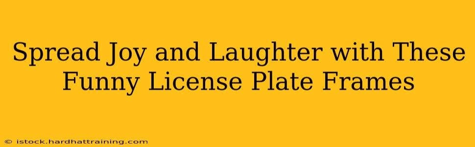 Spread Joy and Laughter with These Funny License Plate Frames