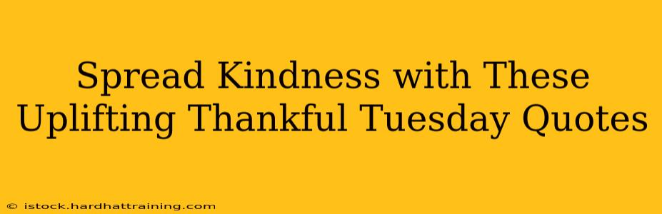 Spread Kindness with These Uplifting Thankful Tuesday Quotes