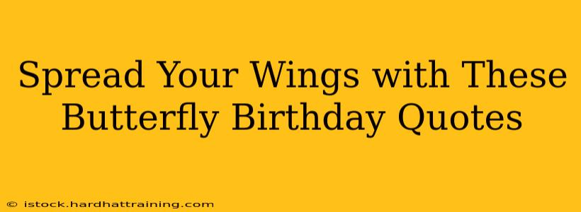 Spread Your Wings with These Butterfly Birthday Quotes