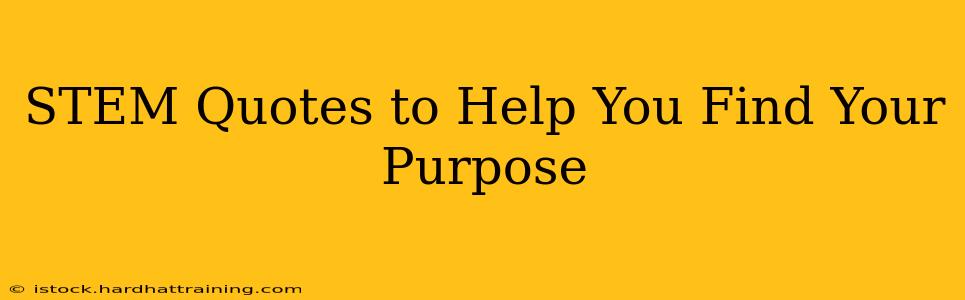 STEM Quotes to Help You Find Your Purpose