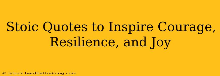 Stoic Quotes to Inspire Courage, Resilience, and Joy