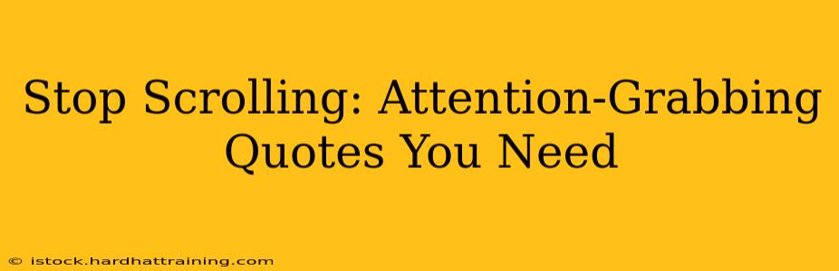 Stop Scrolling: Attention-Grabbing Quotes You Need