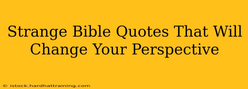 Strange Bible Quotes That Will Change Your Perspective