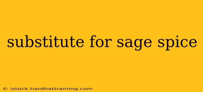 substitute for sage spice