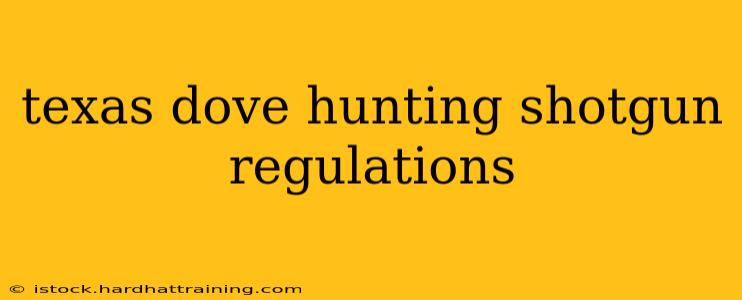 texas dove hunting shotgun regulations