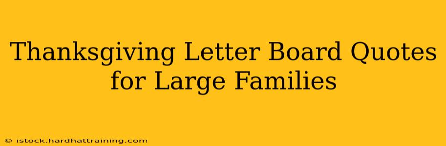 Thanksgiving Letter Board Quotes for Large Families