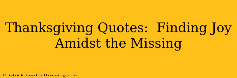 Thanksgiving Quotes:  Finding Joy Amidst the Missing