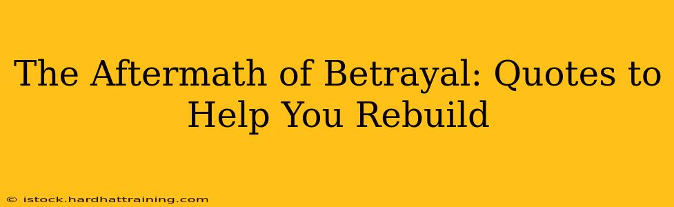 The Aftermath of Betrayal: Quotes to Help You Rebuild
