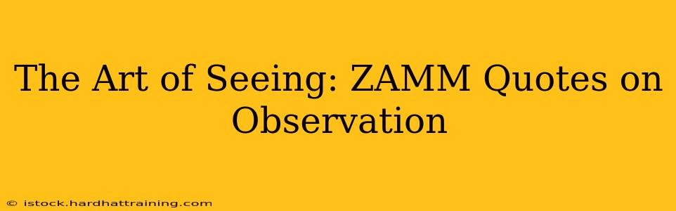 The Art of Seeing: ZAMM Quotes on Observation