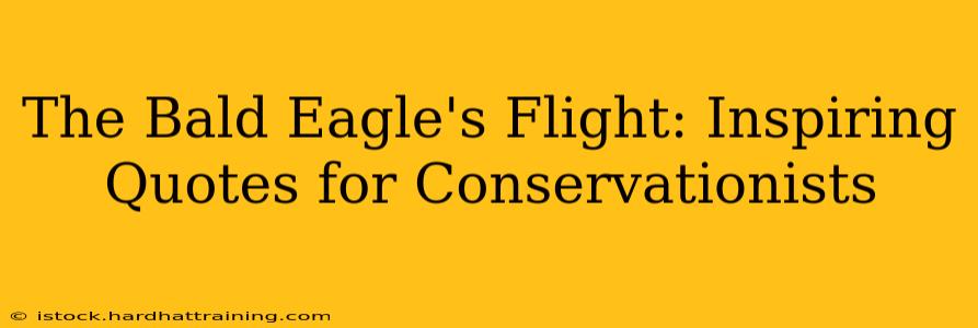 The Bald Eagle's Flight: Inspiring Quotes for Conservationists